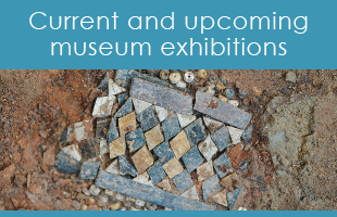 Current and Upcoming Museum Exhibitions